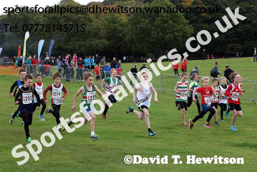 Boys under-11s Northern Cross Country Relays, Graves Park, Sheffield. Photo: David T. Hewitson/Sports for All Pics